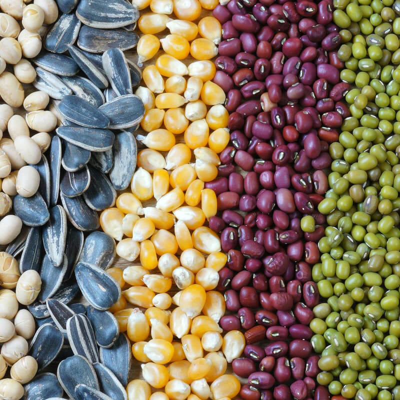 Automatický stroj na balení semen